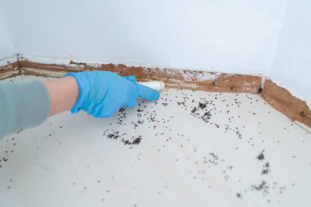 Best Pest Exclusion Services  in Hanover, PA